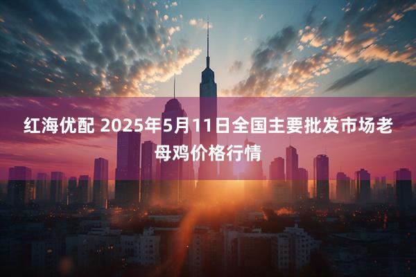 红海优配 2025年5月11日全国主要批发市场老母鸡价格行情