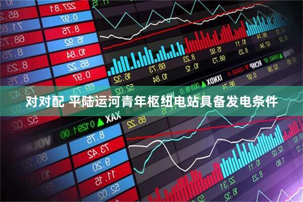 对对配 平陆运河青年枢纽电站具备发电条件