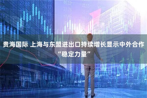 贵海国际 上海与东盟进出口持续增长显示中外合作“稳定力量”