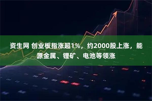 资生网 创业板指涨超1%，约2000股上涨，能源金属、锂矿、电池等领涨