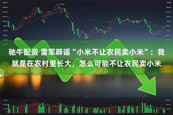 驰牛配资 雷军辟谣“小米不让农民卖小米”：我就是在农村里长大，怎么可能不让农民卖小米