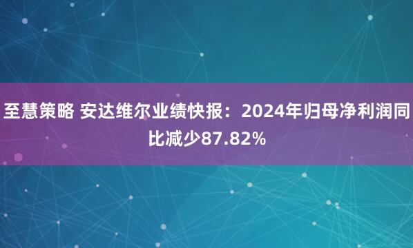 至慧策略 安达维尔业绩快报：2024年归母净利润同比减少87.82%