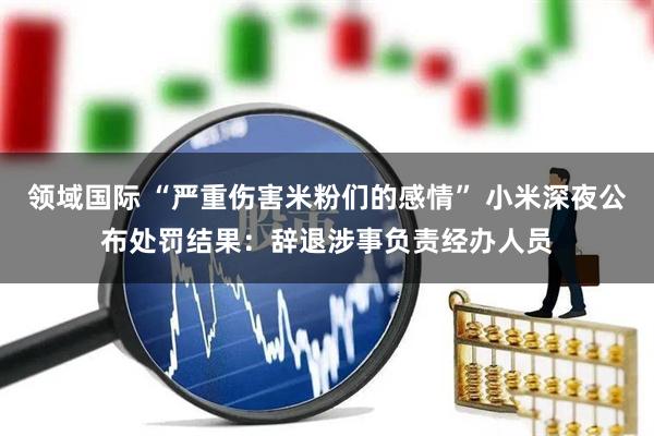 领域国际 “严重伤害米粉们的感情” 小米深夜公布处罚结果：辞退涉事负责经办人员