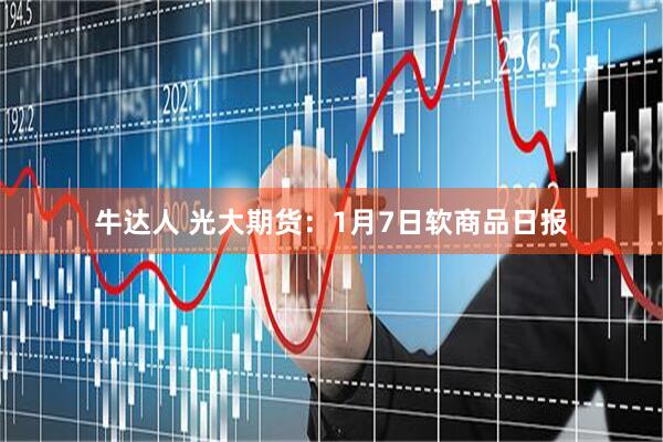 牛达人 光大期货：1月7日软商品日报