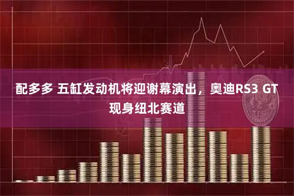 配多多 五缸发动机将迎谢幕演出，奥迪RS3 GT现身纽北赛道
