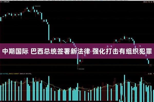 中期国际 巴西总统签署新法律 强化打击有组织犯罪