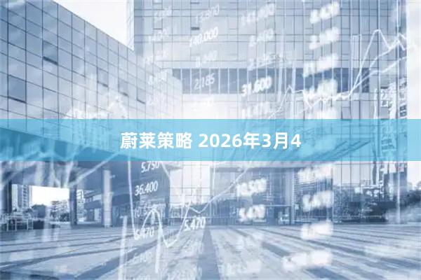 蔚莱策略 2026年3月4